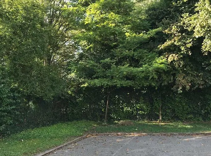 Apartamento Joli A Euroairport-basel-mulhouse-freiburg *